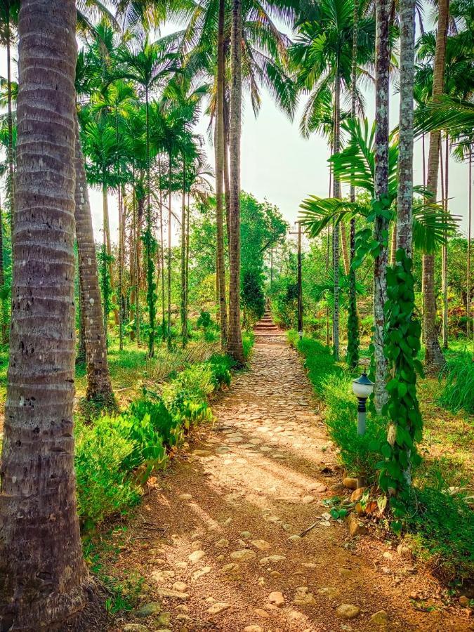 Nature'S Nest Eco Resort Goa, Near Dudhsagar Waterfalls Molem Exterior photo